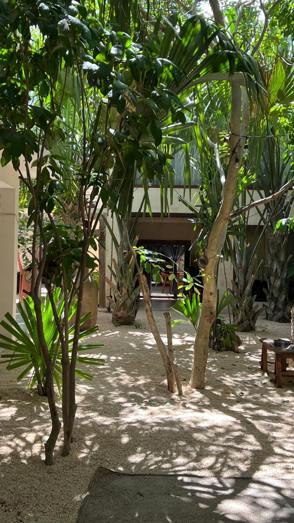 Japoneza Retreat - Merida Centro Exterior photo